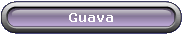 Guava